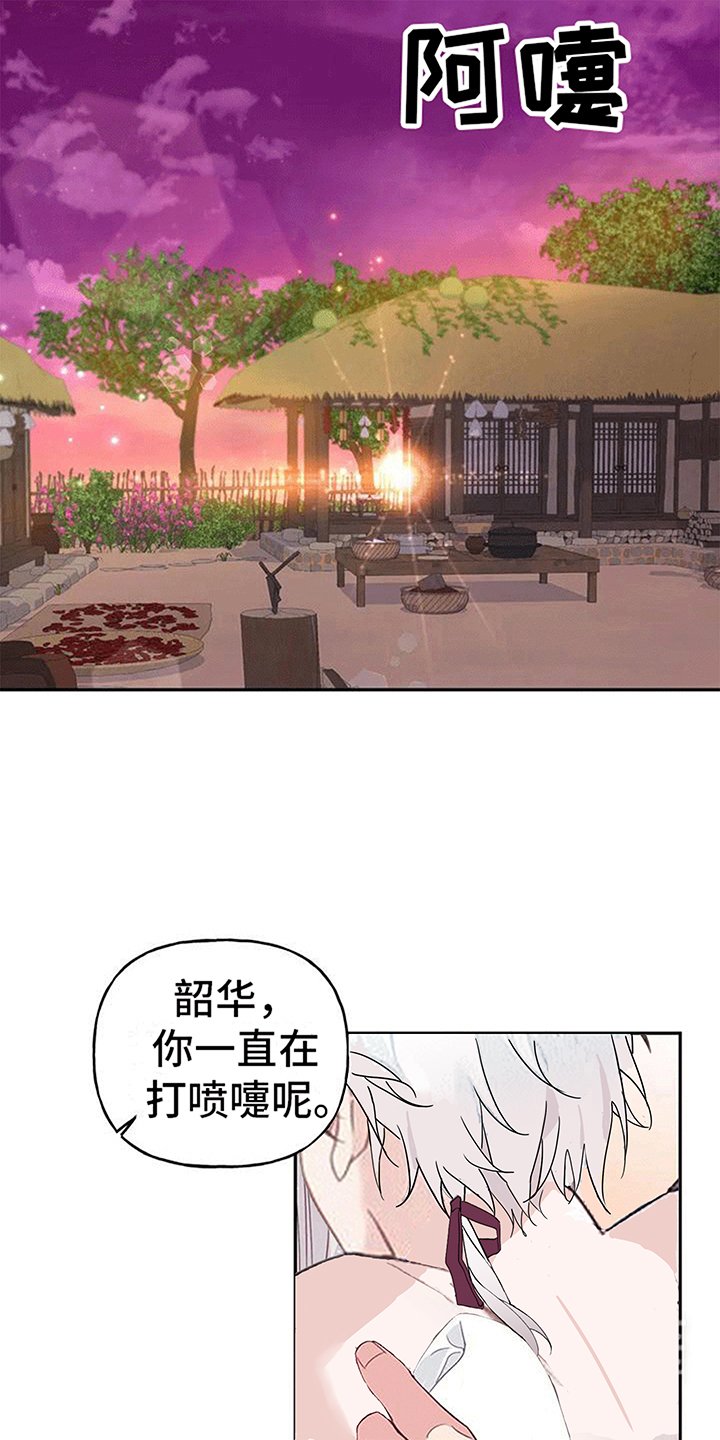 第11章：梦中
