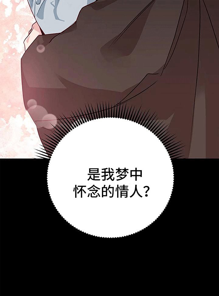 第11章：梦中