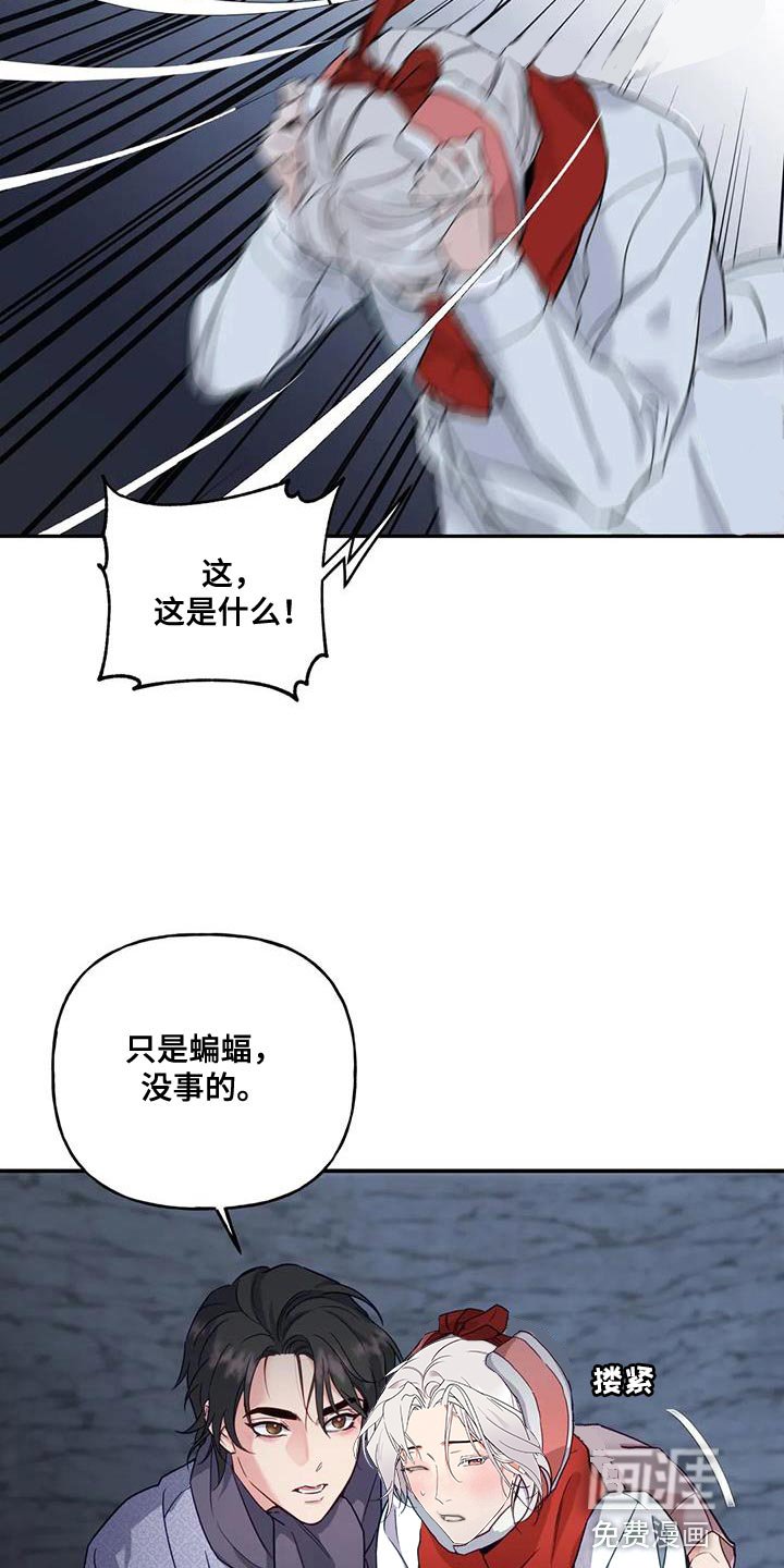 第14章：蛇