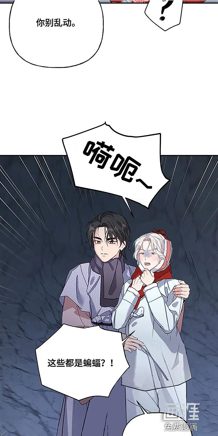 第14章：蛇