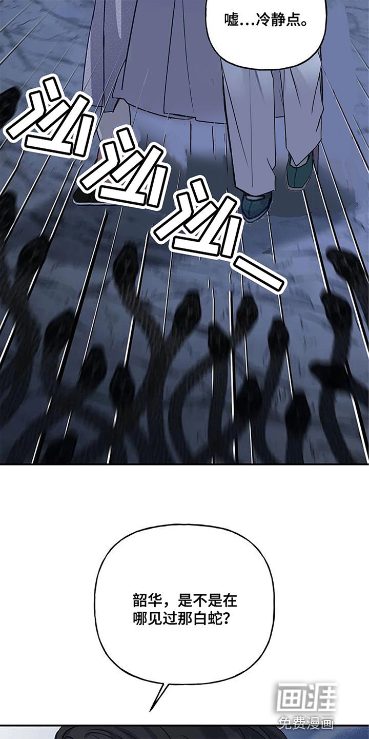 第14章：蛇