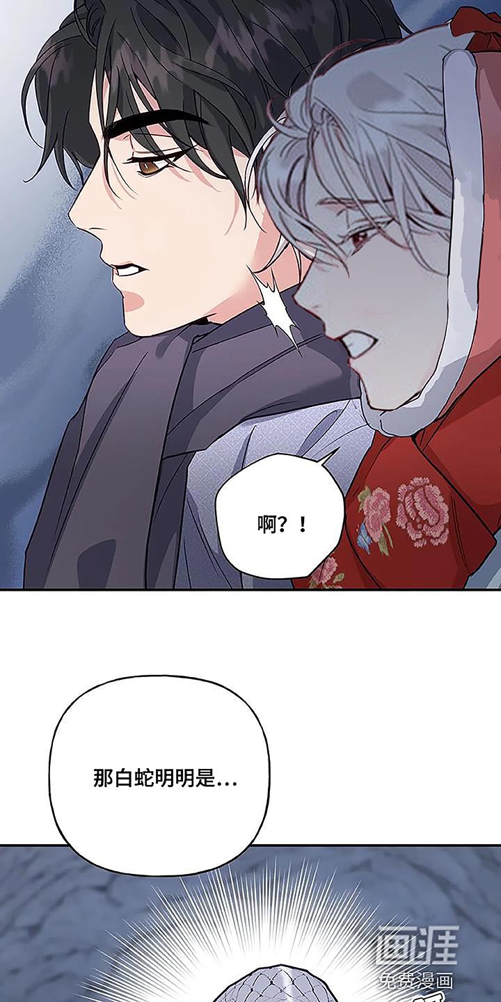 第14章：蛇
