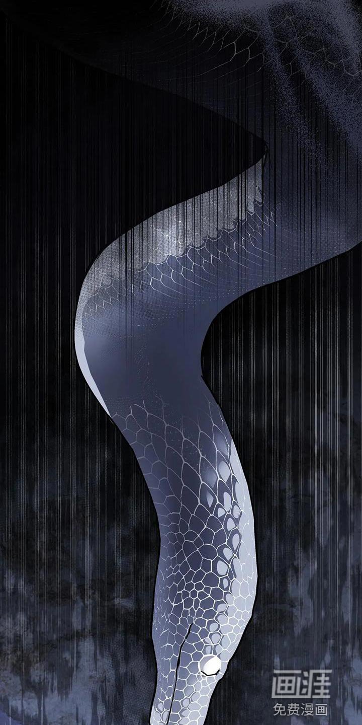 第14章：蛇