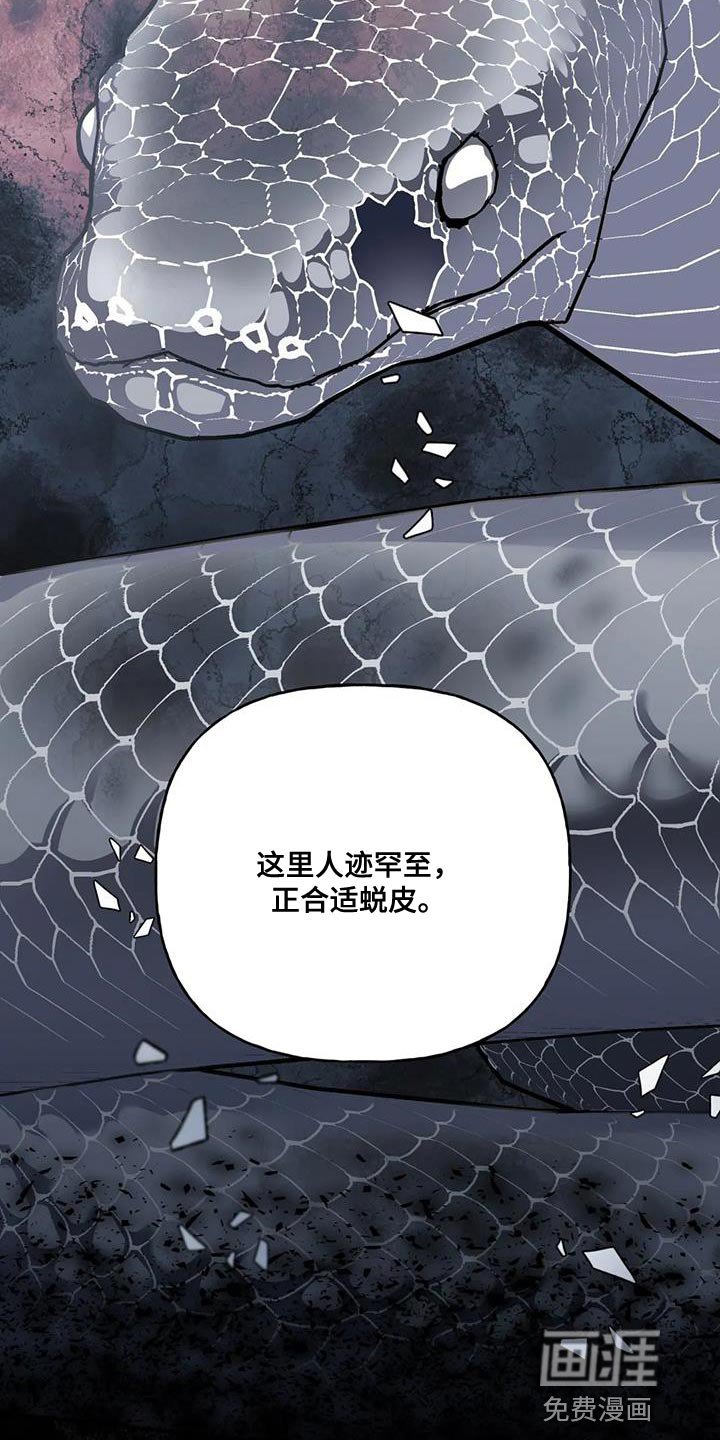 第15章：真身
