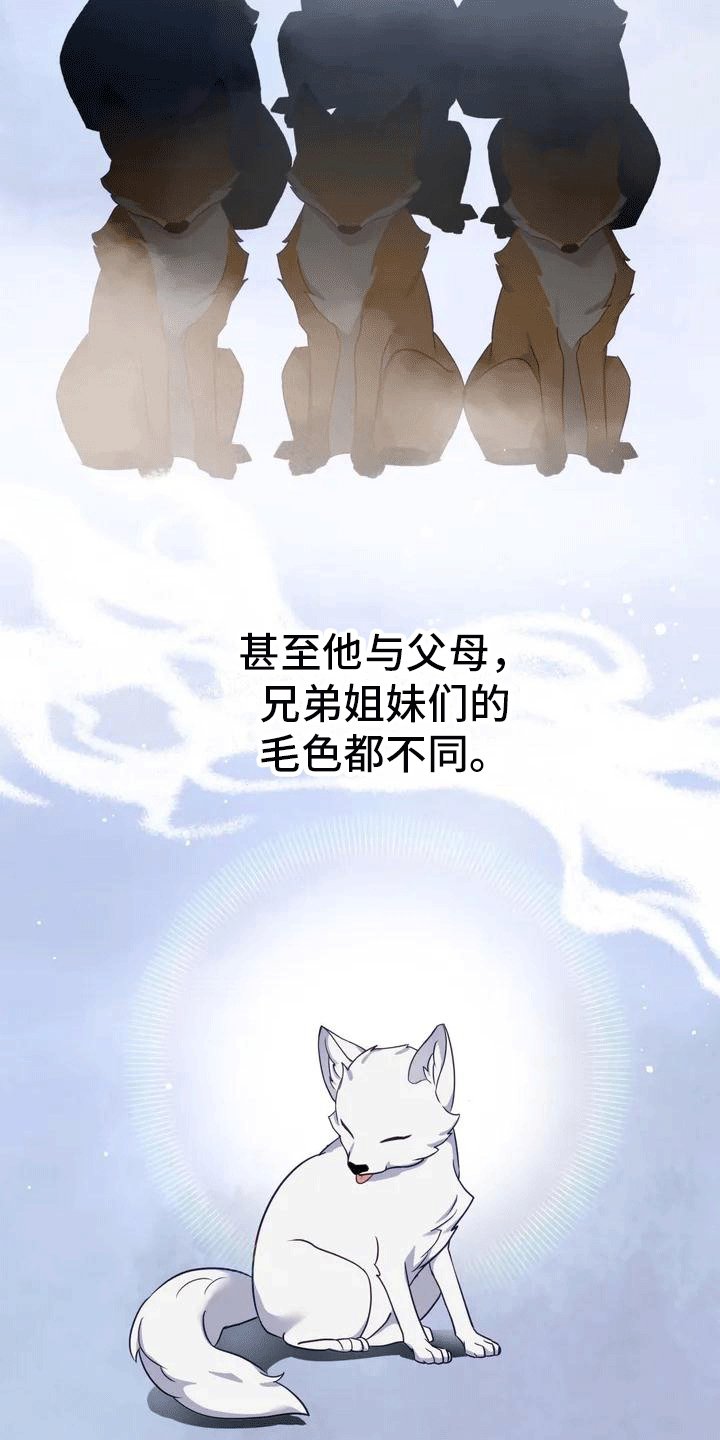 第2章：抛弃