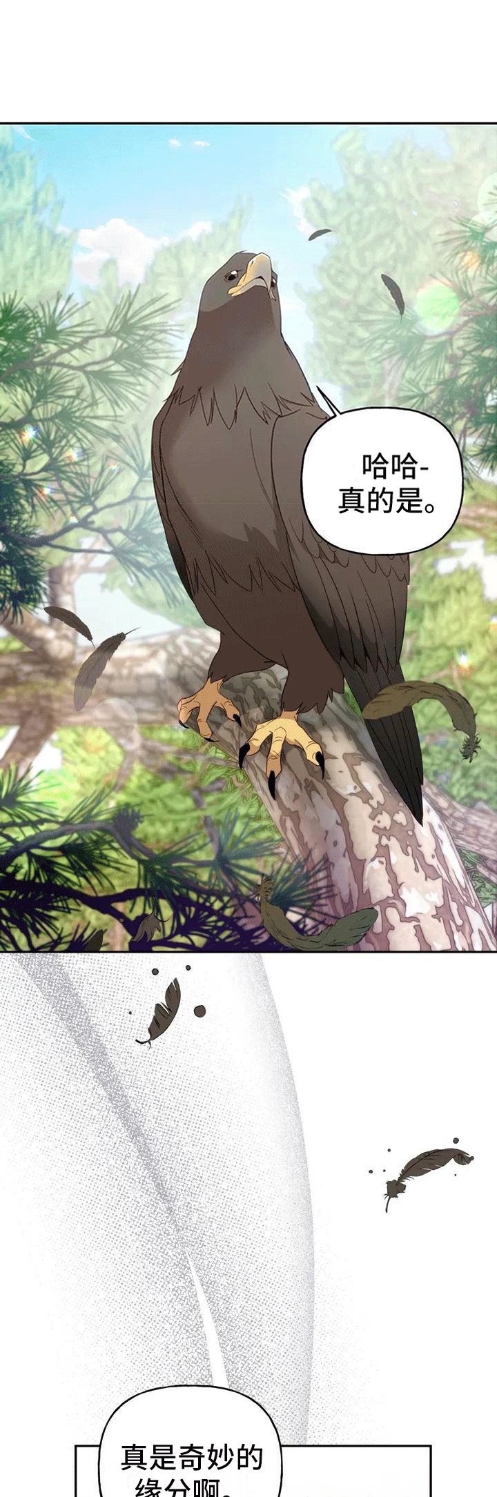 第3章：独自