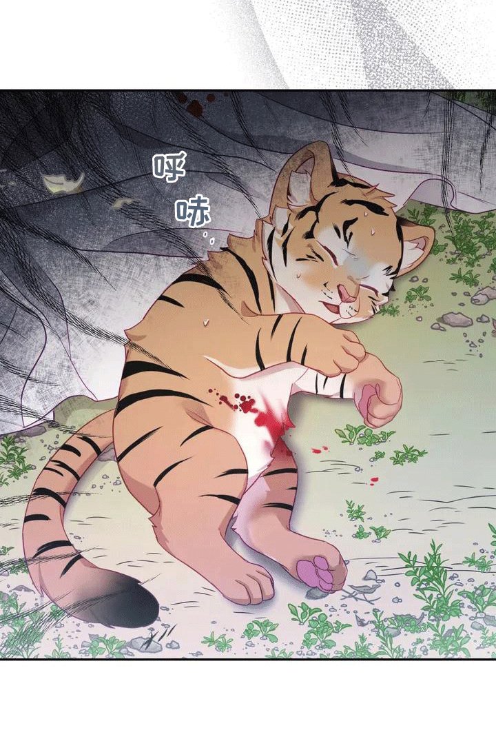 第3章：独自