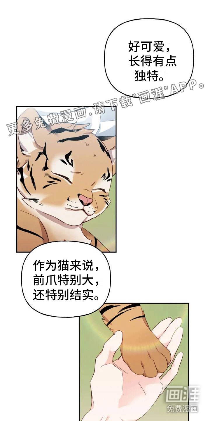 第4章：老虎