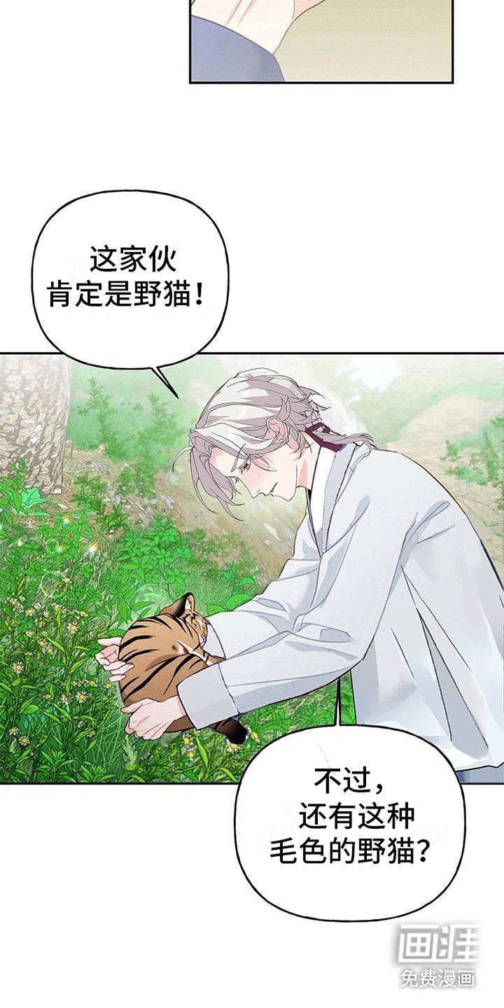 第4章：老虎