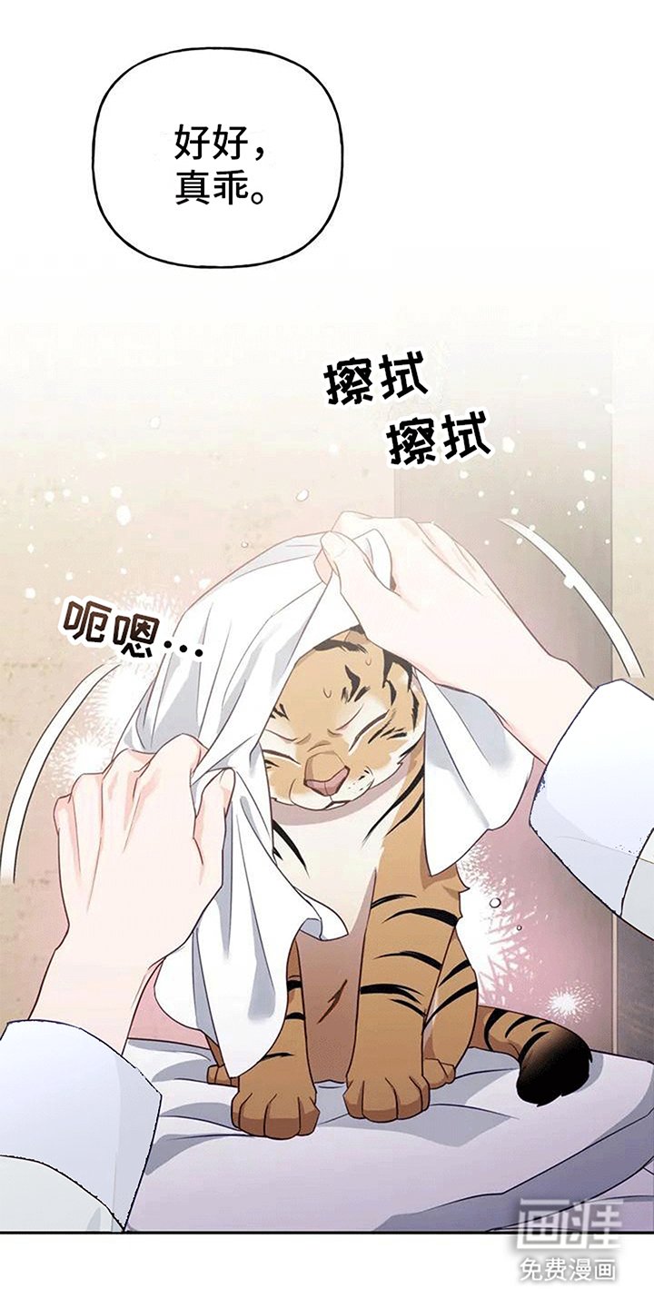 第4章：老虎