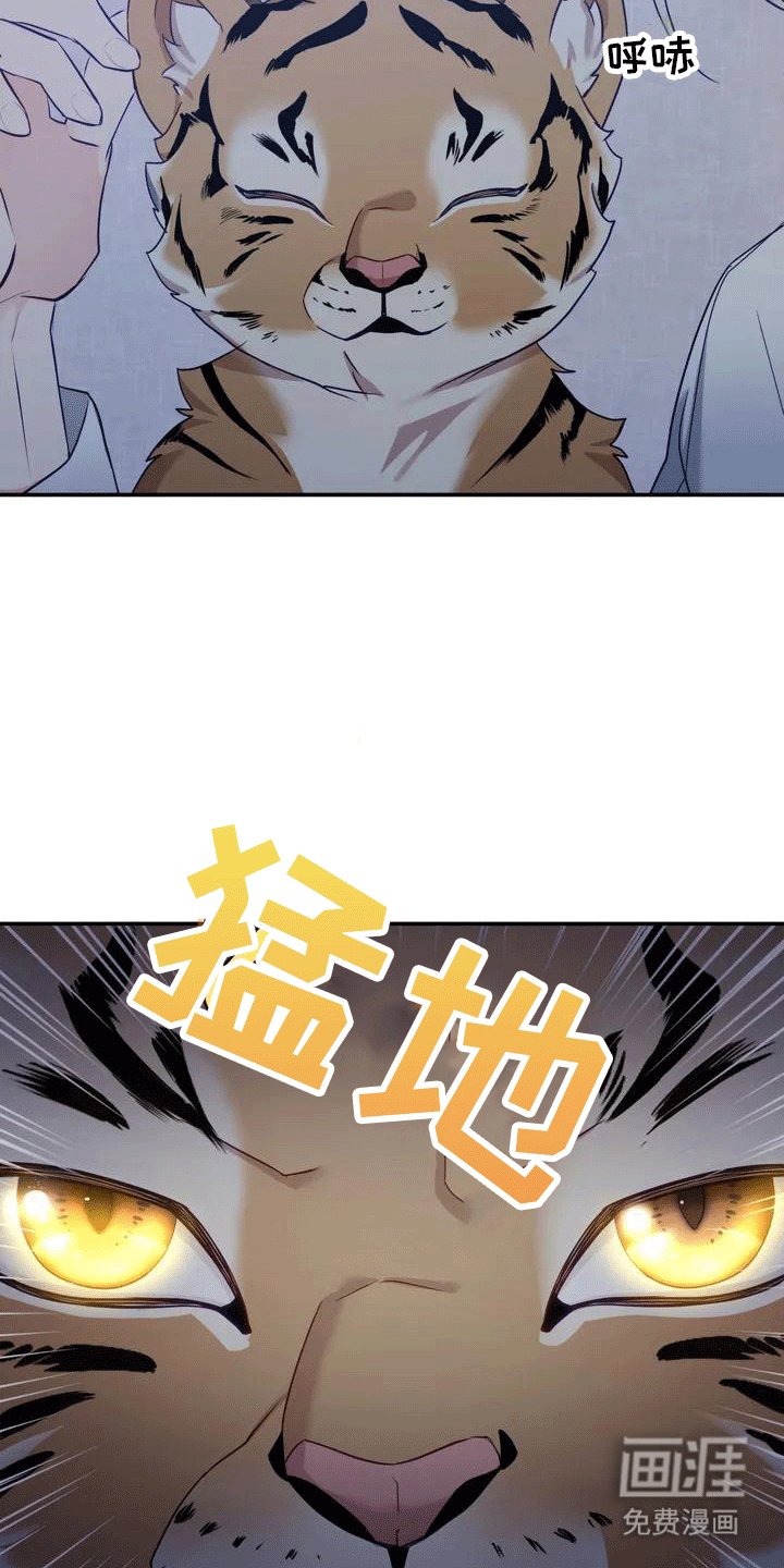 第4章：老虎