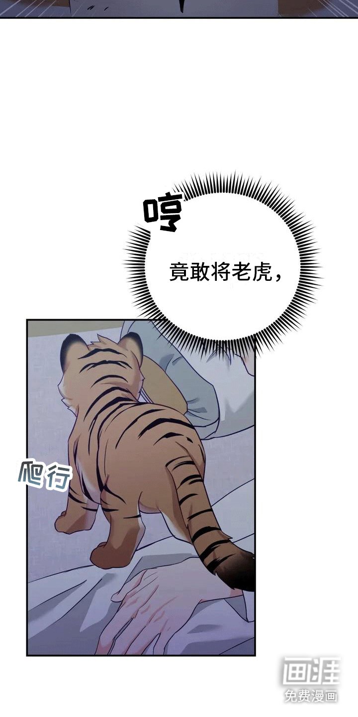 第4章：老虎