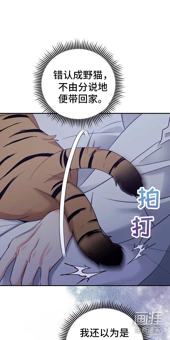 第4章：老虎