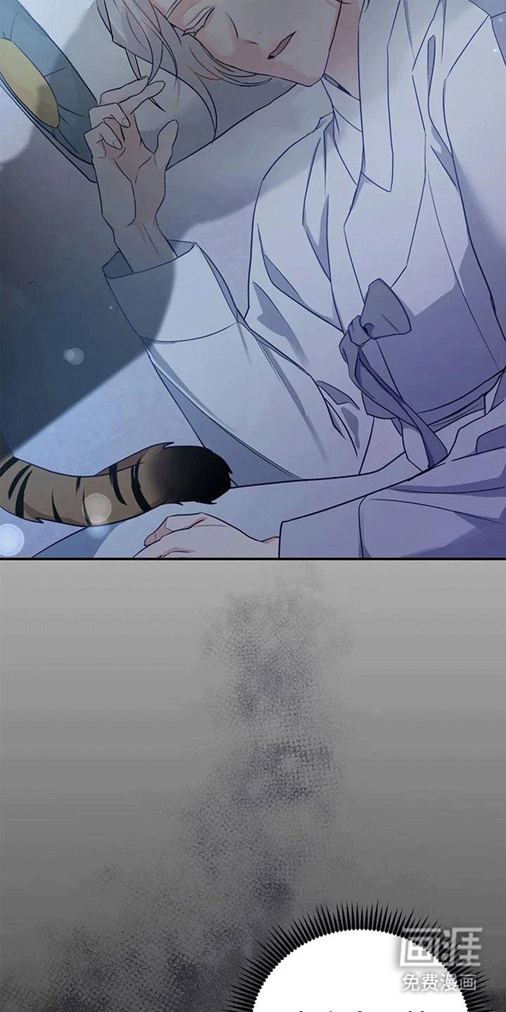 第4章：老虎