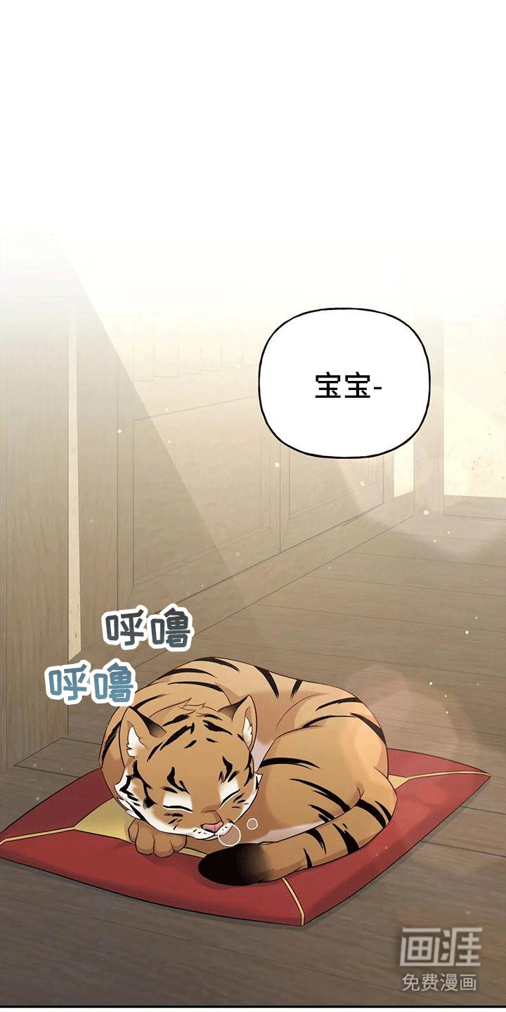 第4章：老虎