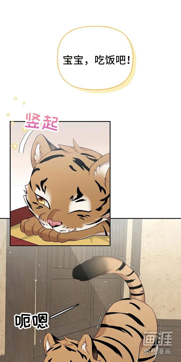 第4章：老虎