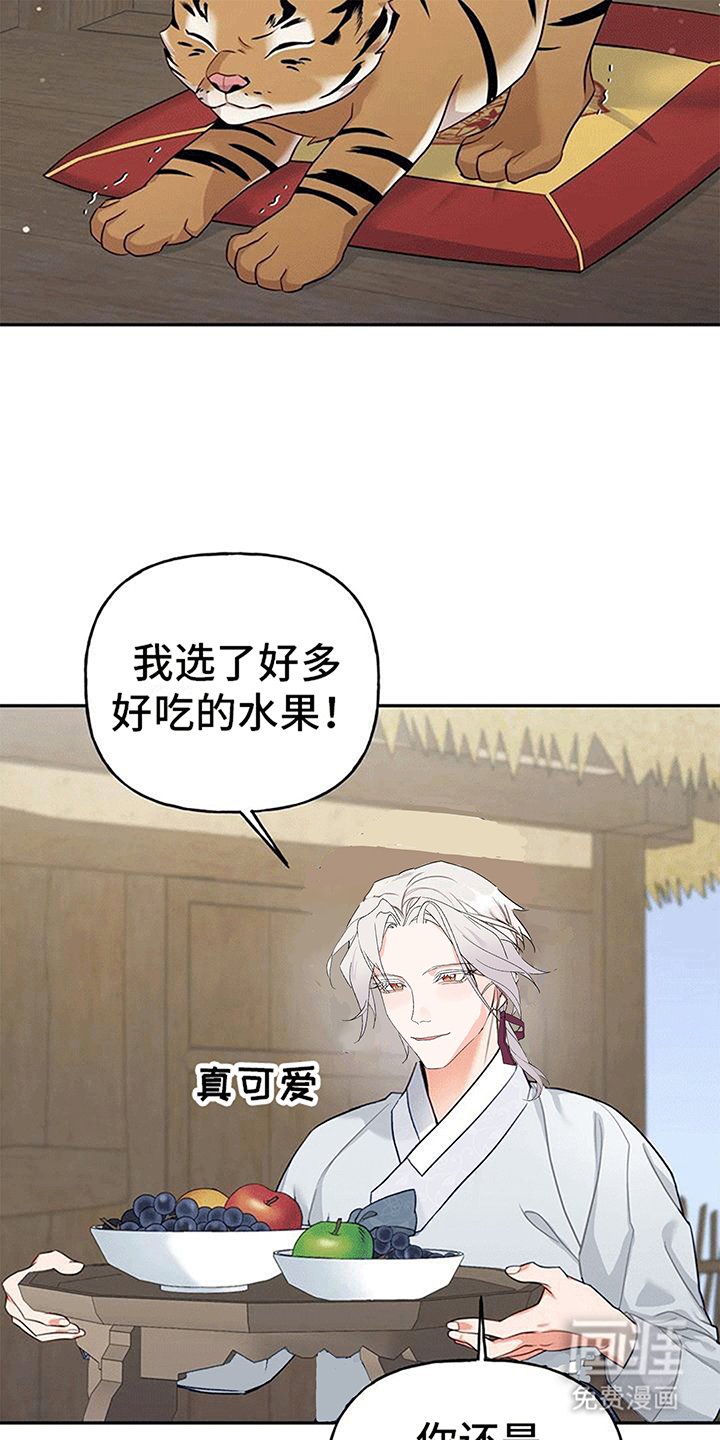 第4章：老虎