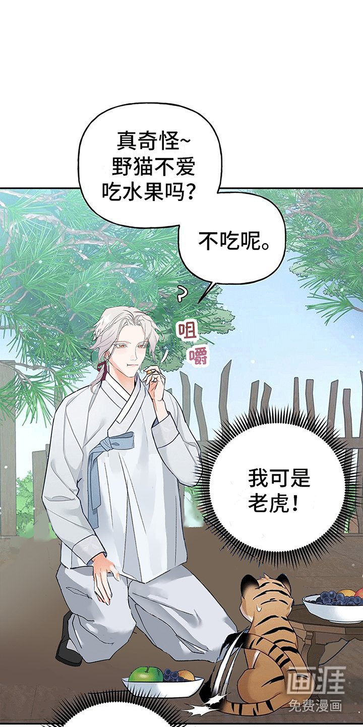 第4章：老虎