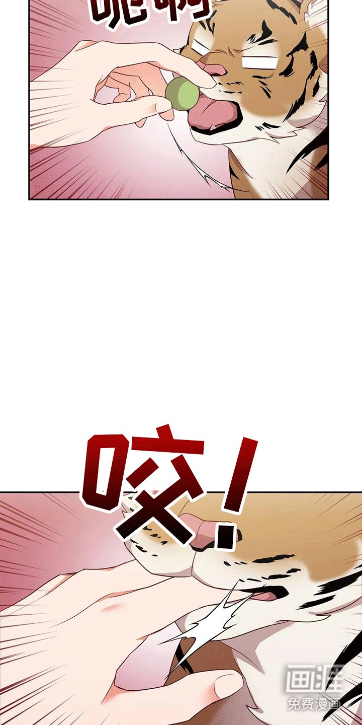 第4章：老虎