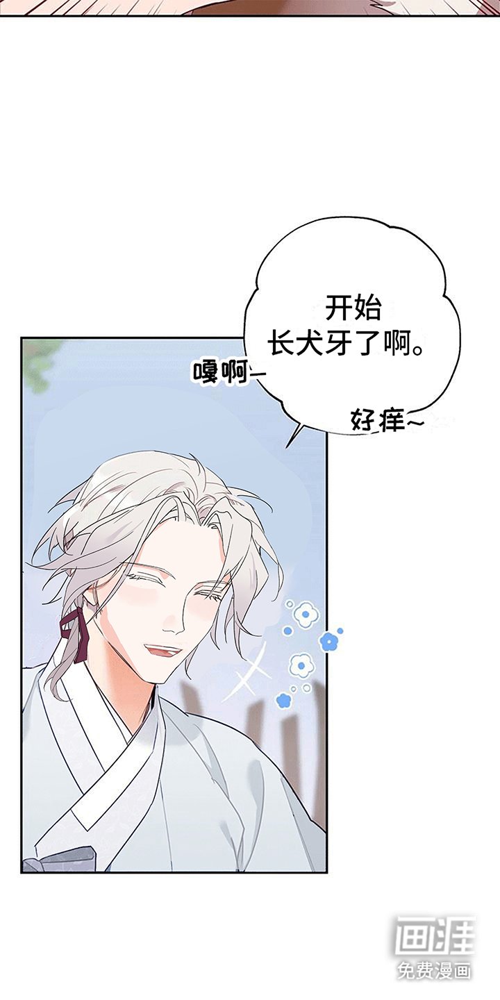 第4章：老虎