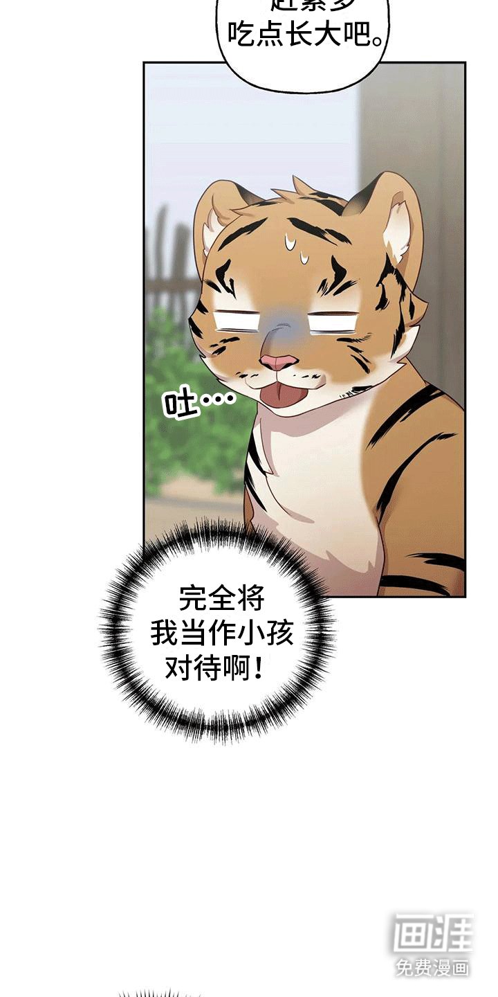 第4章：老虎