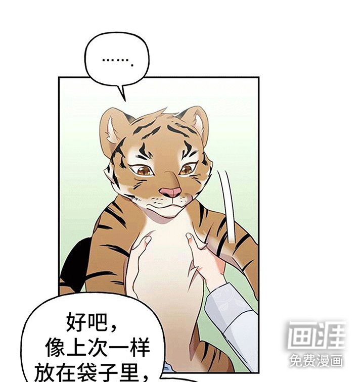第5章：出门