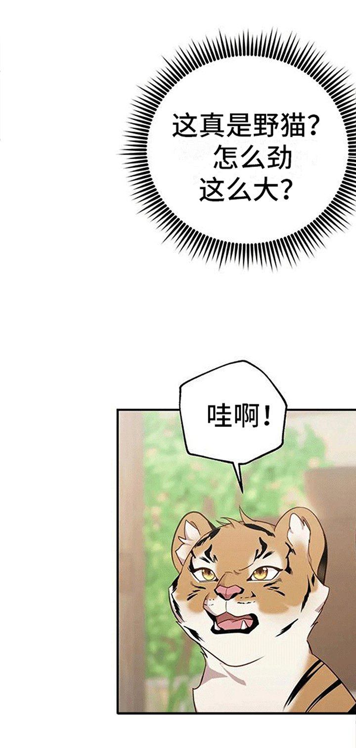 第5章：出门