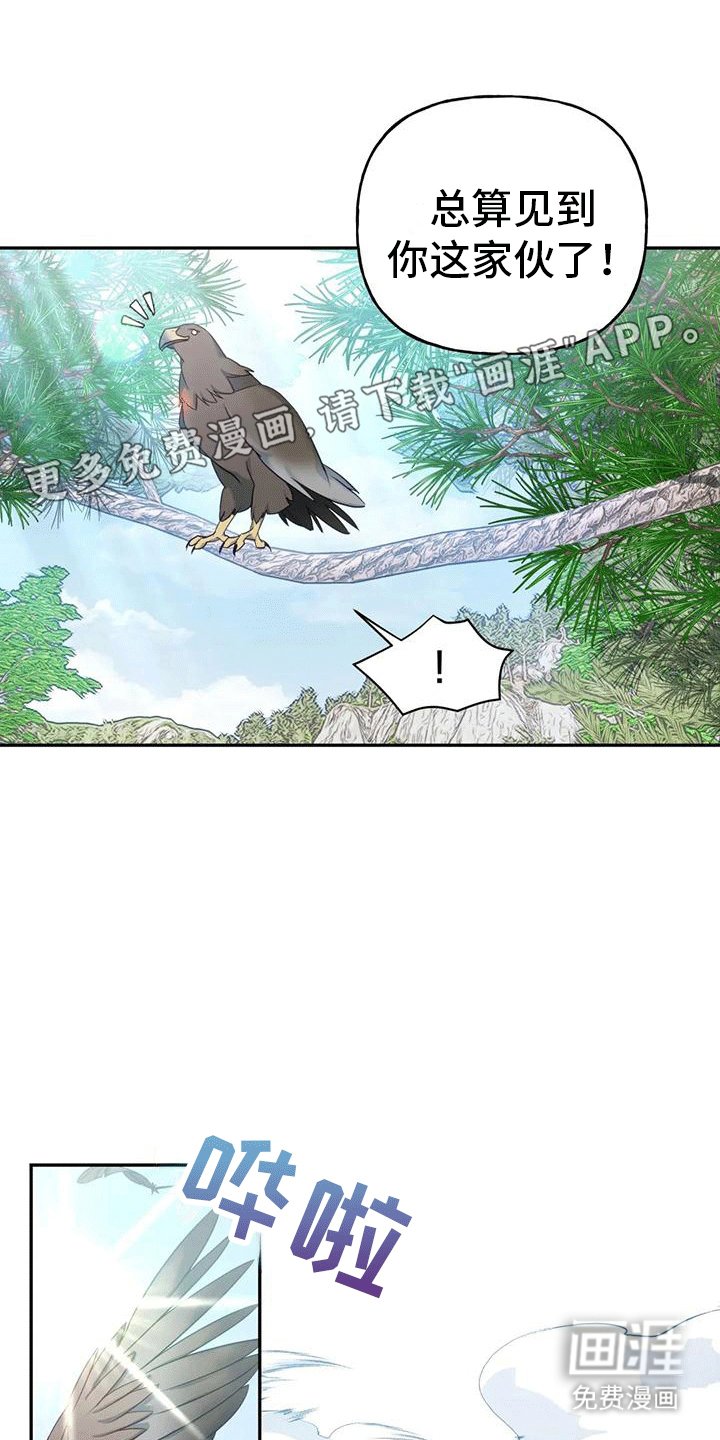 第6章：找回