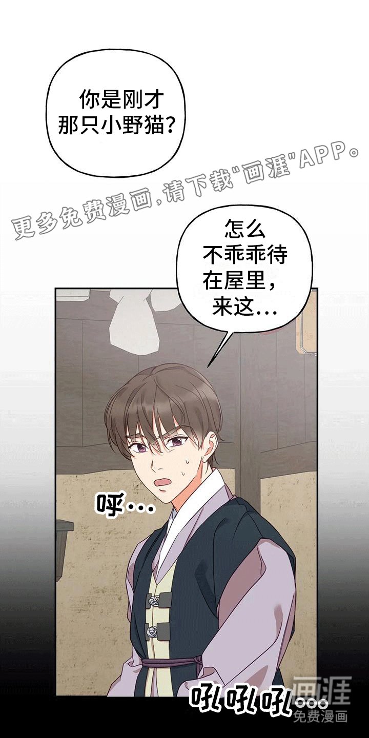 第8章：暴露