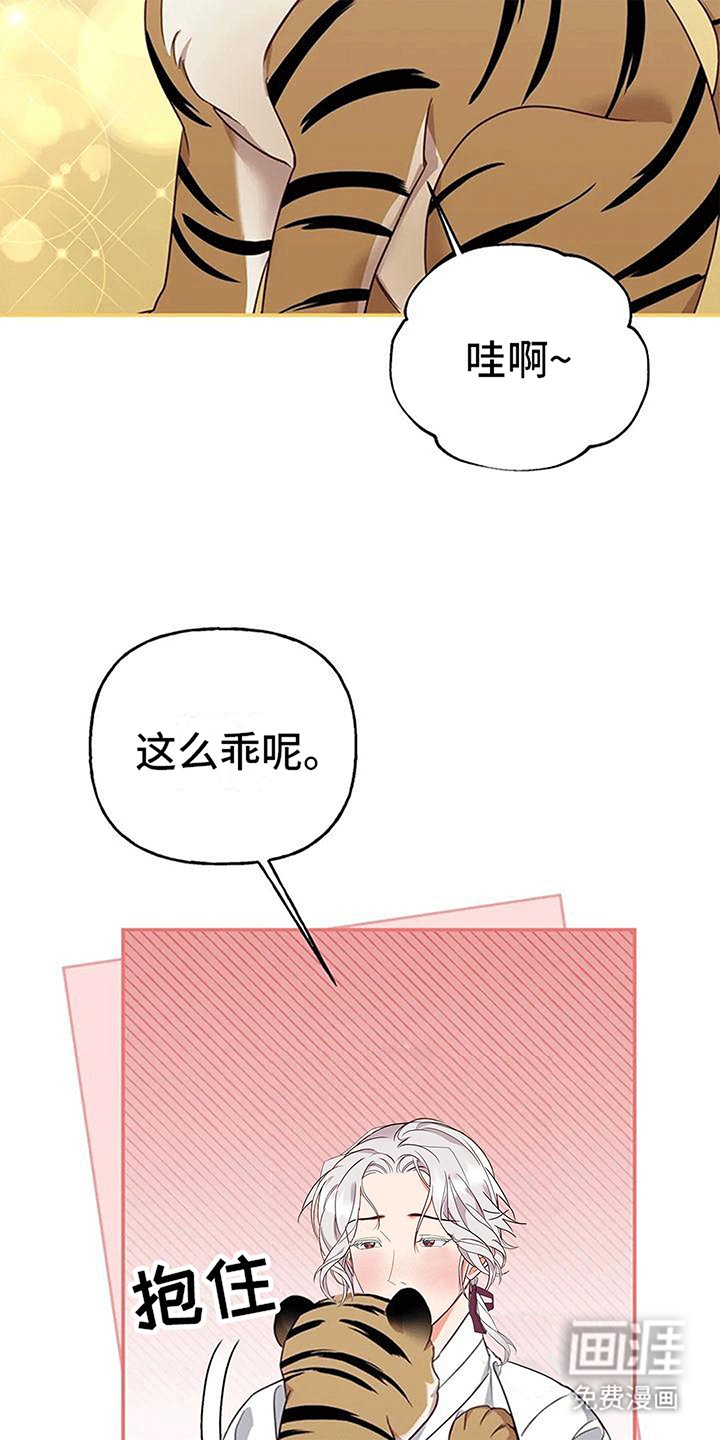 第8章：暴露