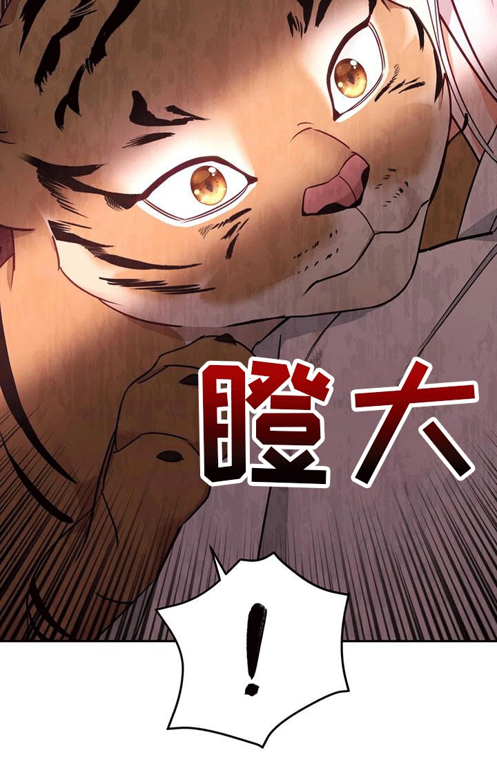 第8章：暴露