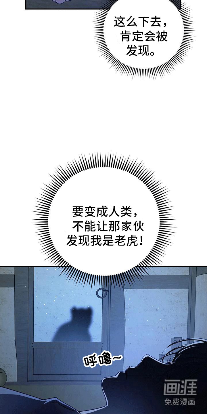 第8章：暴露