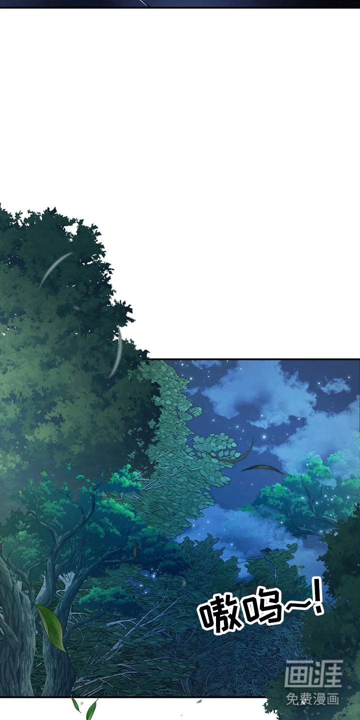 第8章：暴露