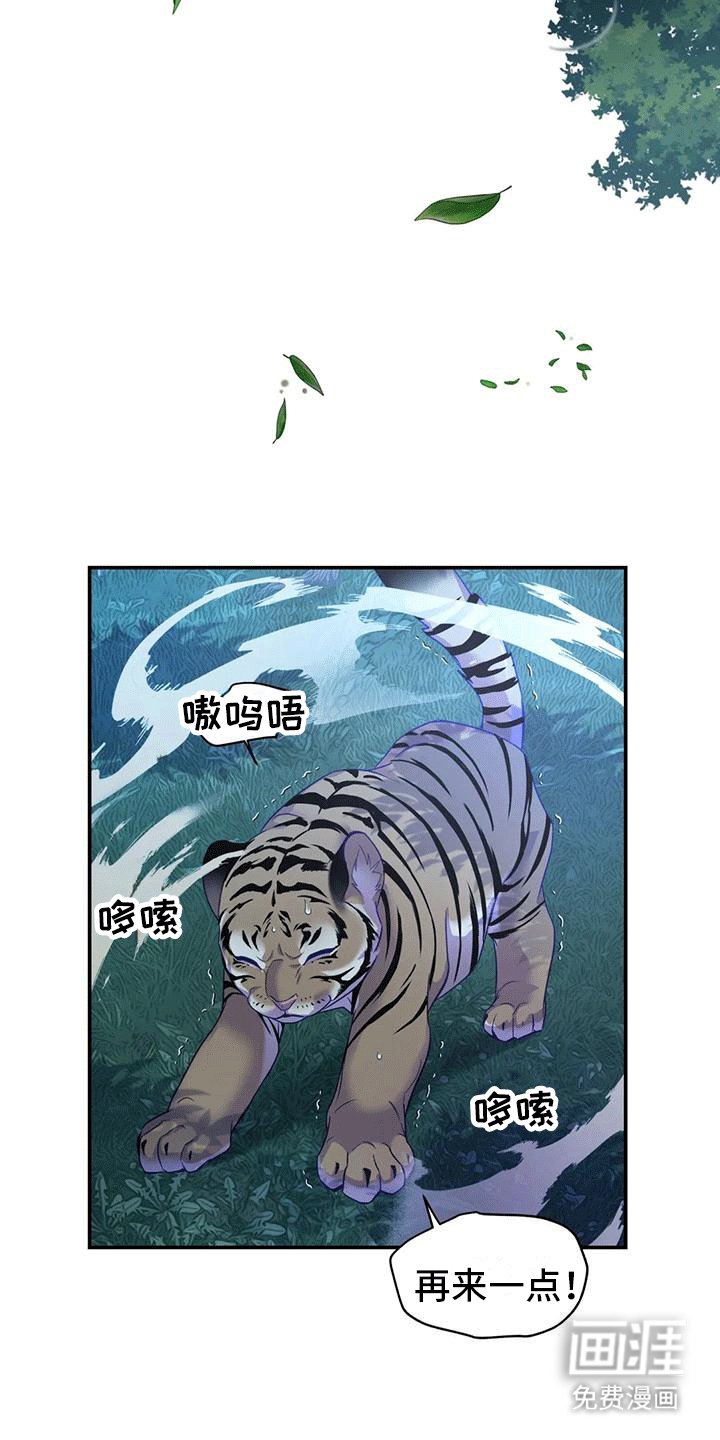第8章：暴露