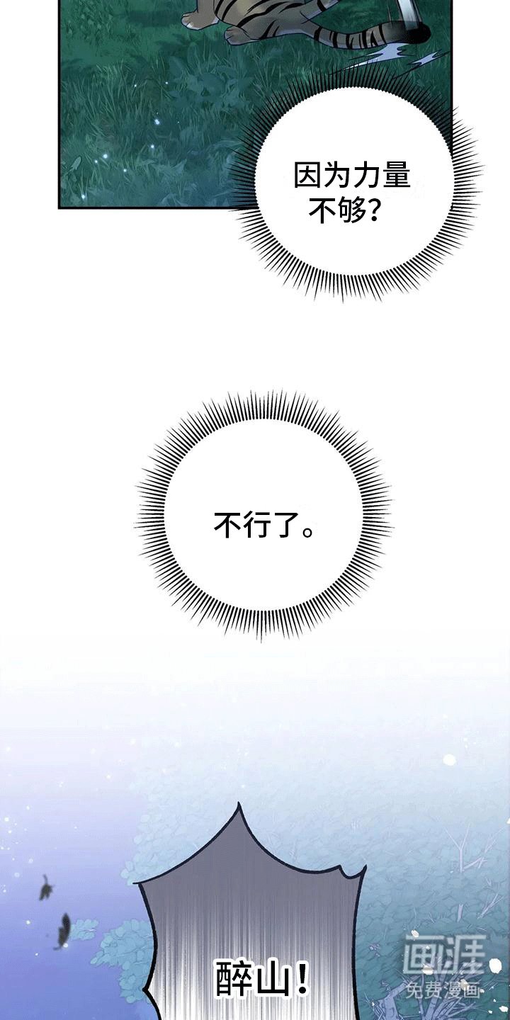 第8章：暴露