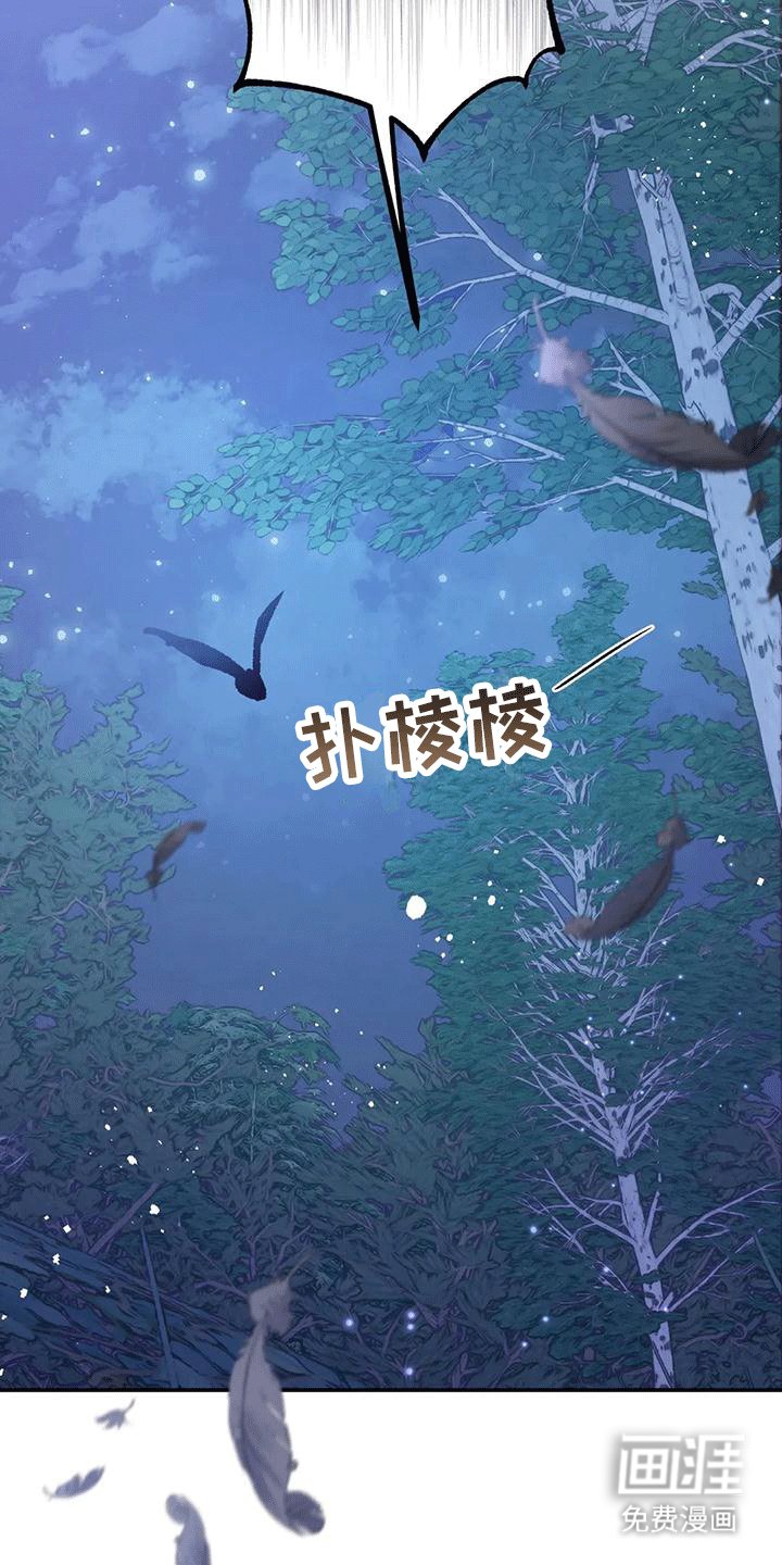 第8章：暴露