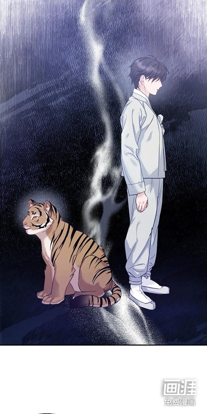 第8章：暴露