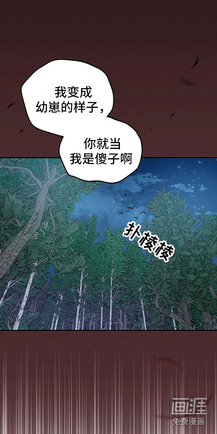 第8章：暴露