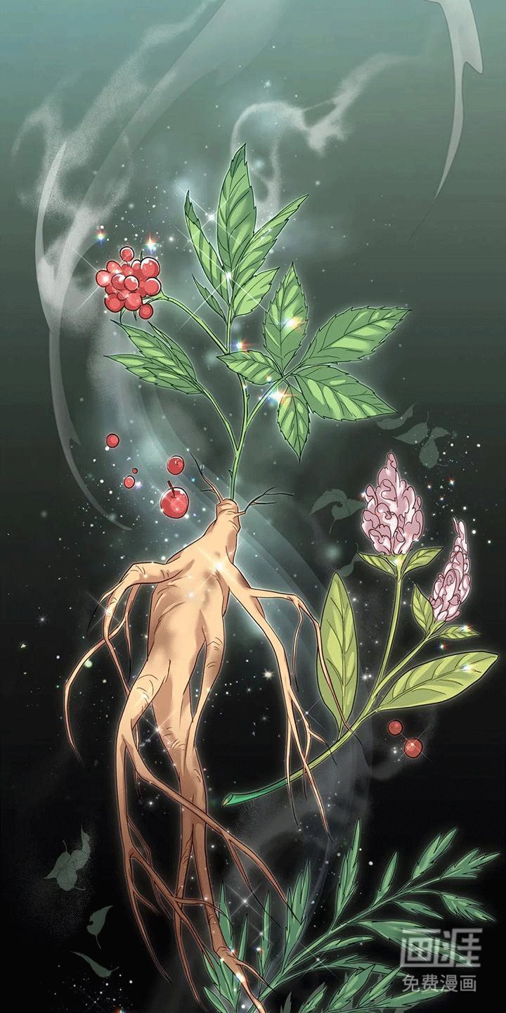第8章：暴露