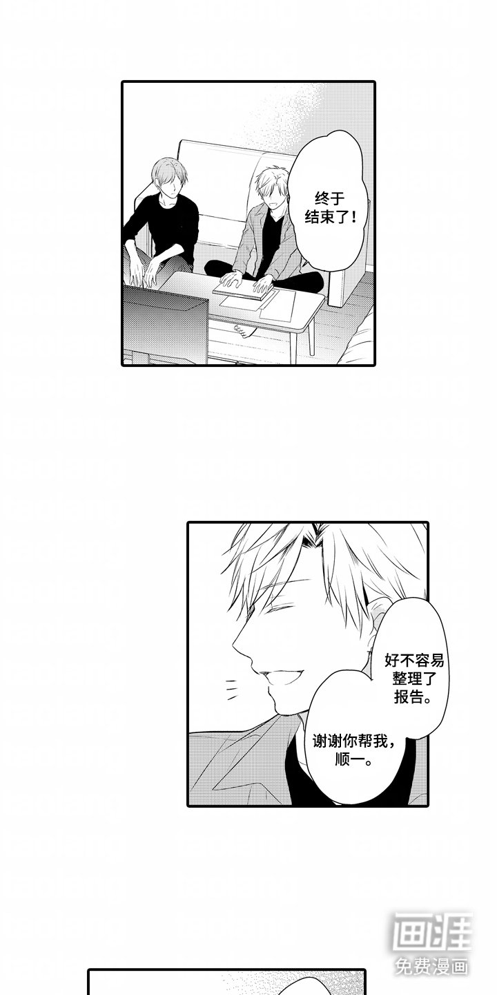 第21章：理解