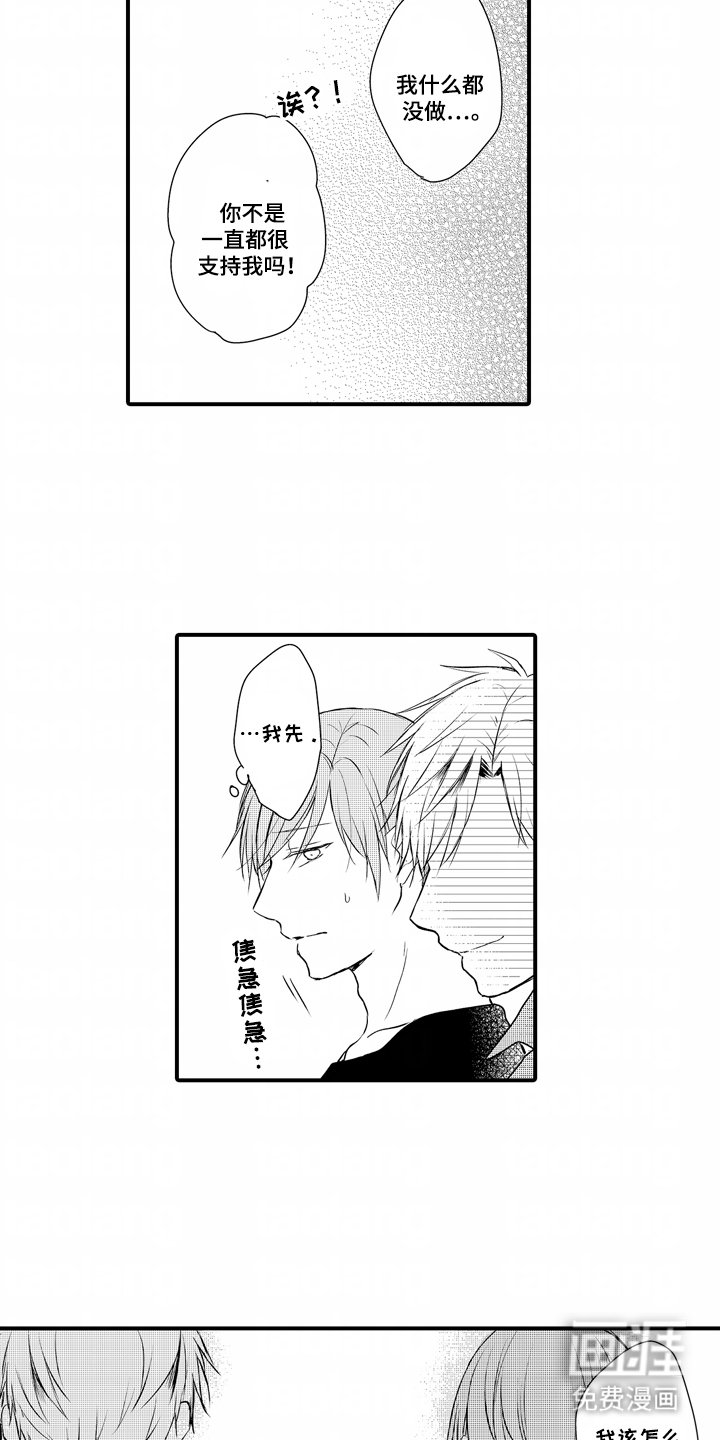 第21章：理解