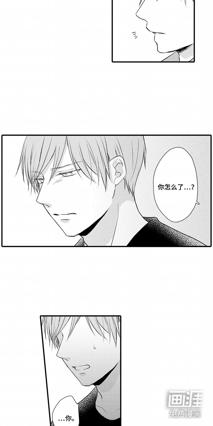 第21章：理解