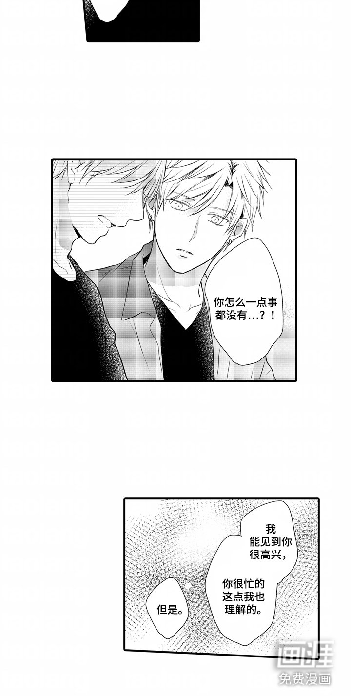 第21章：理解
