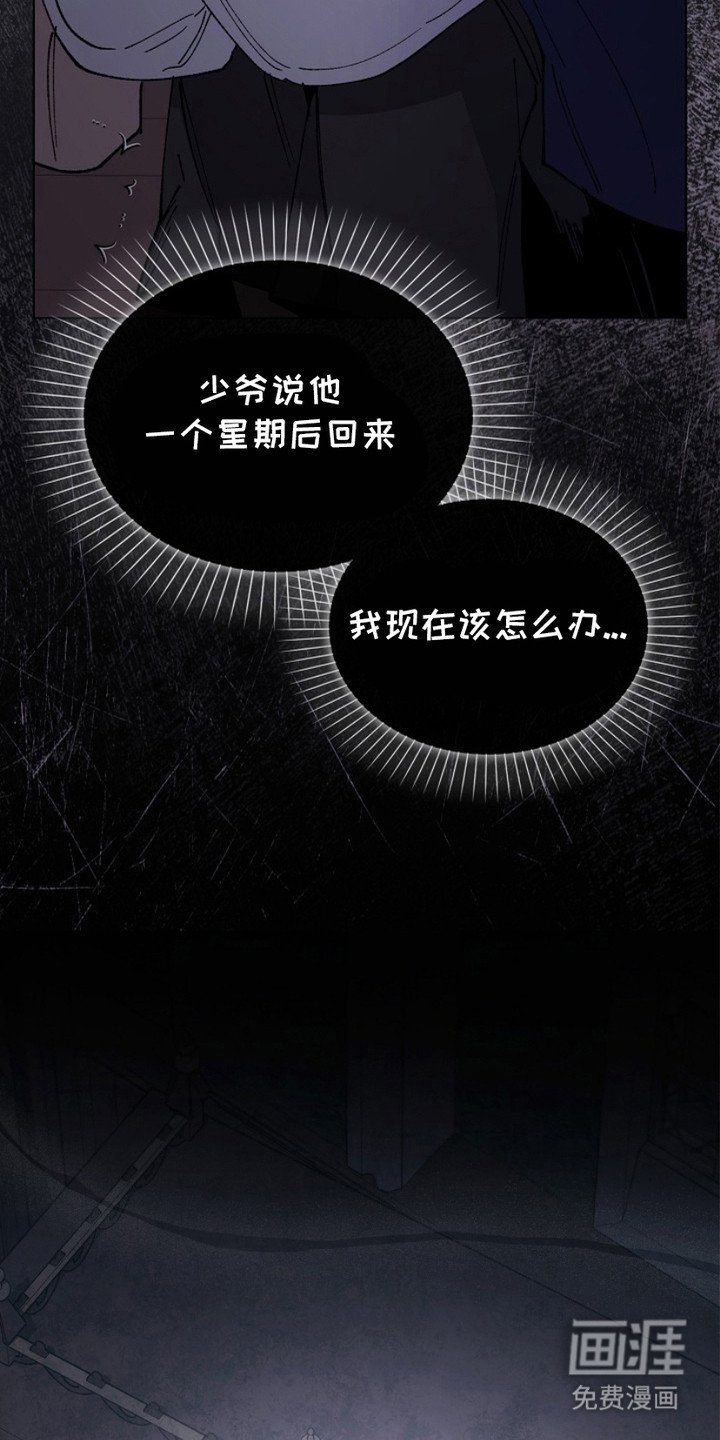 第11章：躲藏