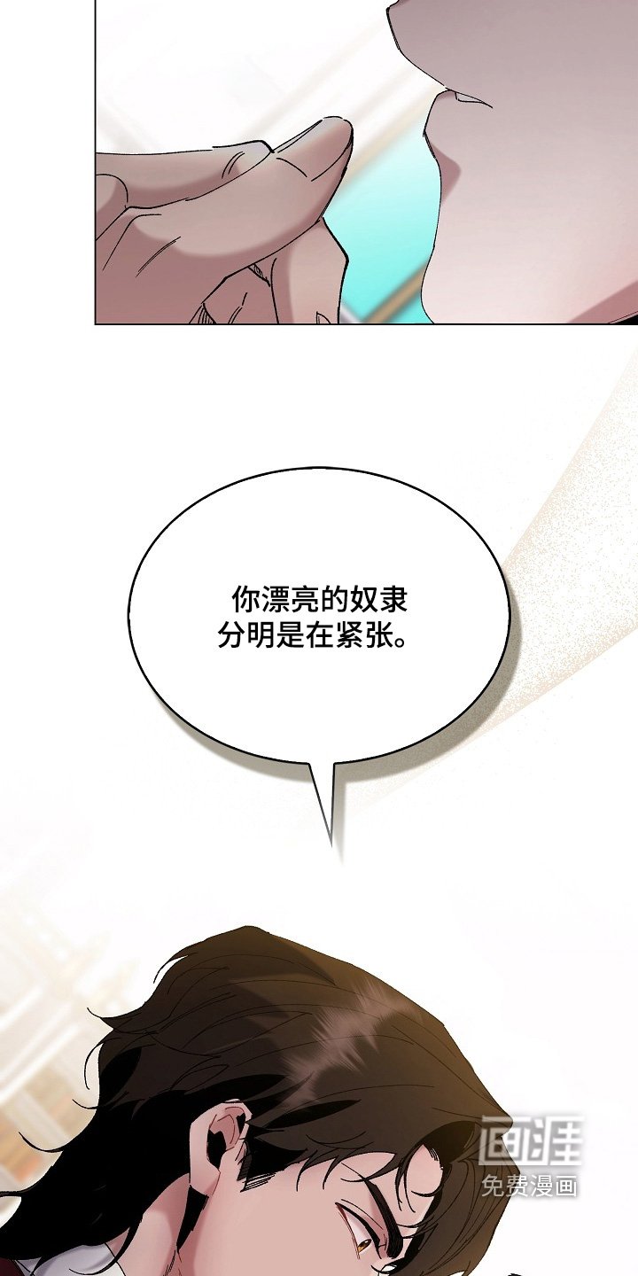 第20章：我的建议