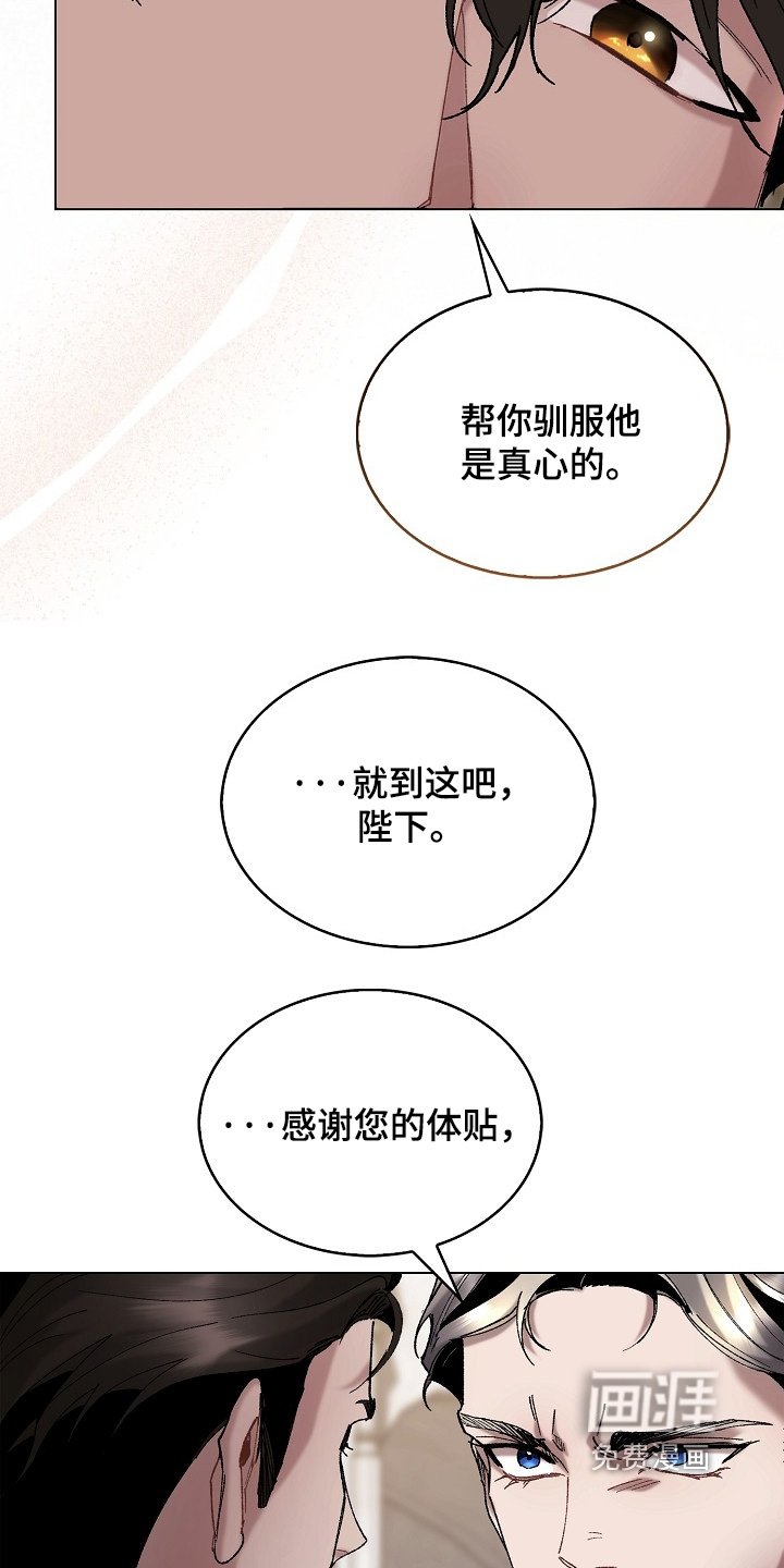 第20章：我的建议