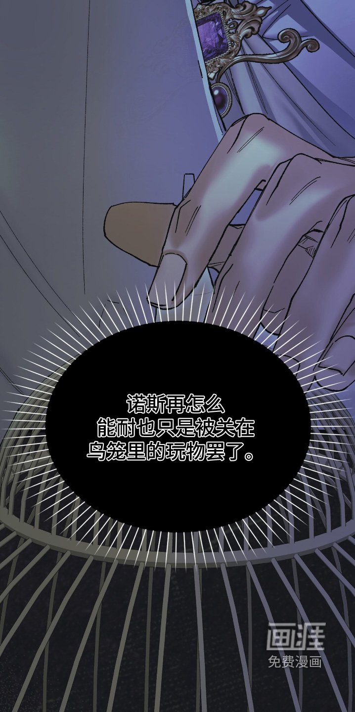 第35章：期待