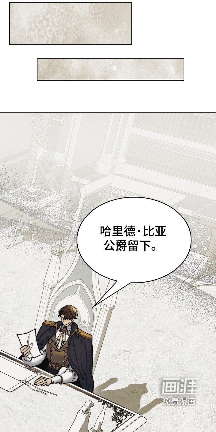 第35章：期待