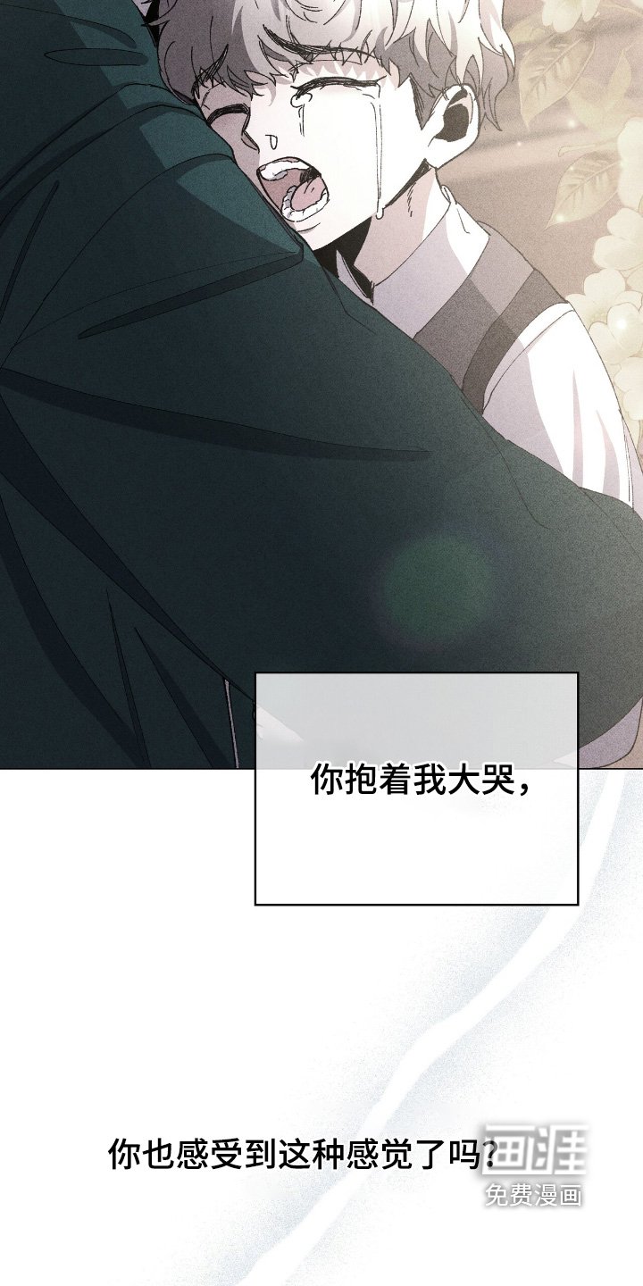 第49章：请原谅我