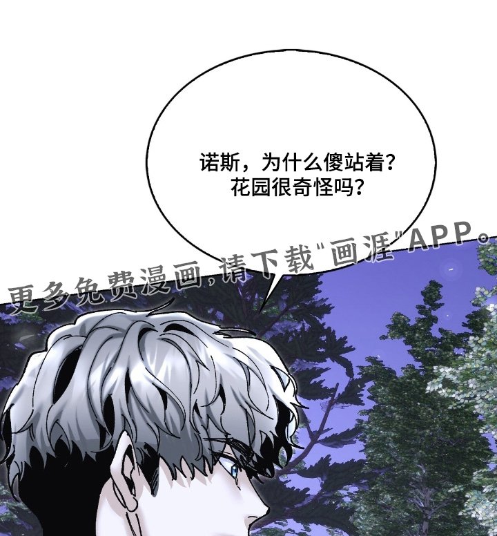 第52章：这么眼熟